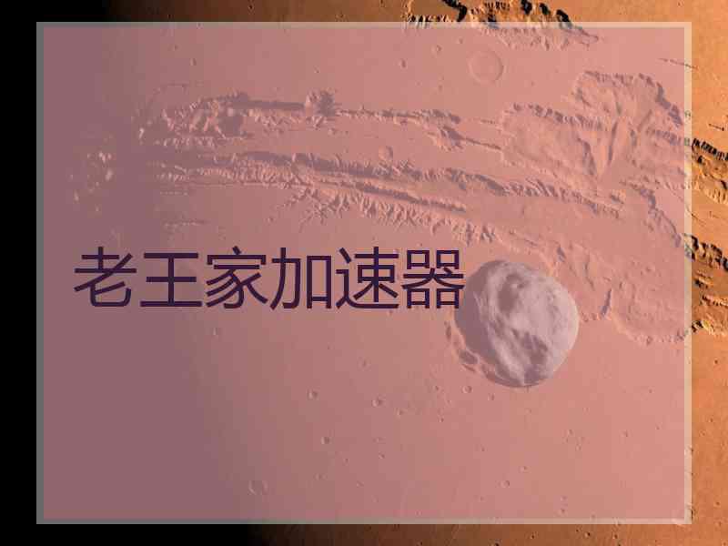 老王家加速器