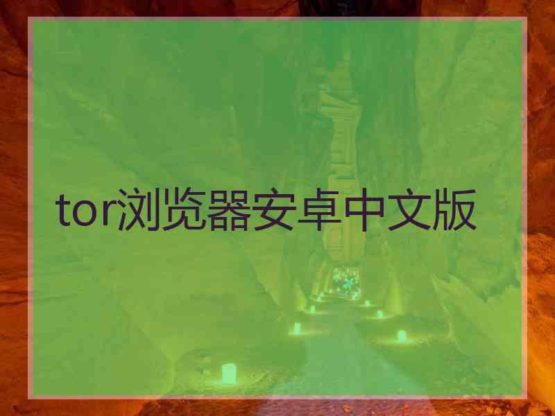 tor浏览器安卓中文版