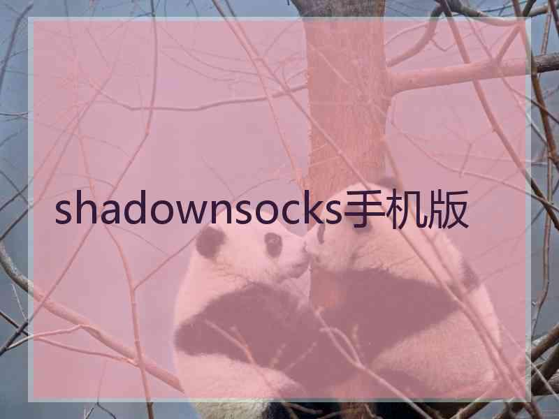 shadownsocks手机版