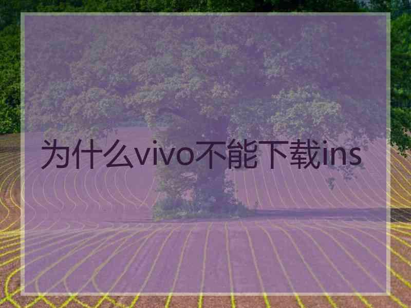 为什么vivo不能下载ins