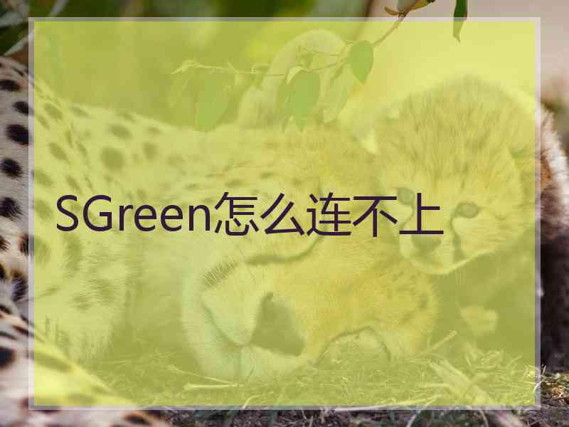 SGreen怎么连不上