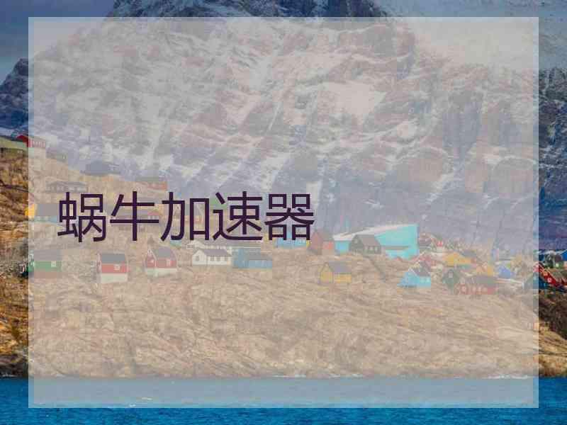 蜗牛加速器