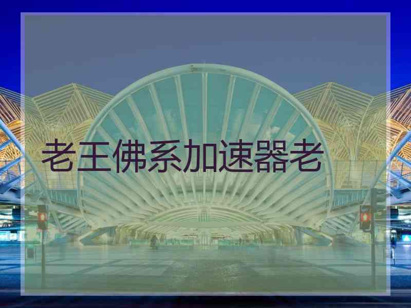 老王佛系加速器老