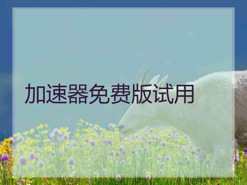 加速器免费版试用