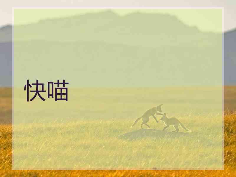 快喵