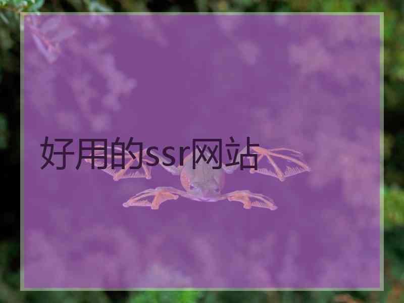 好用的ssr网站