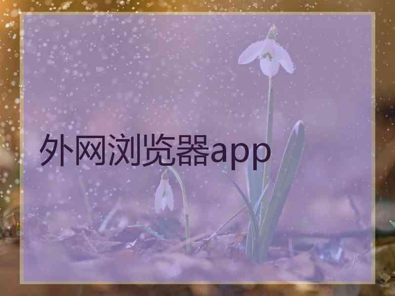 外网浏览器app