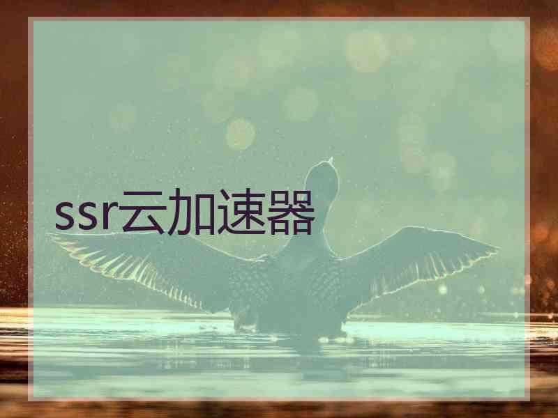 ssr云加速器