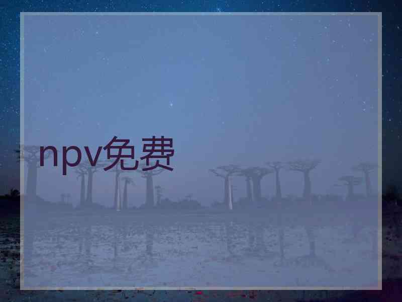 npv免费