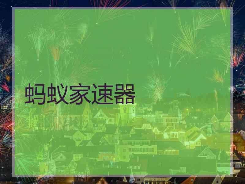 蚂蚁家速器