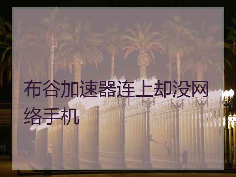 布谷加速器连上却没网络手机
