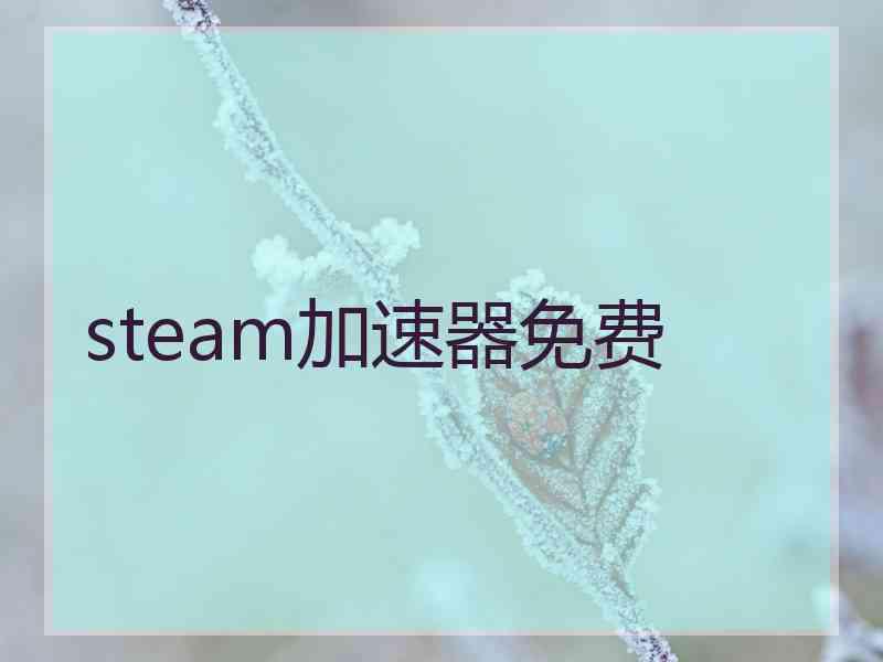steam加速器免费