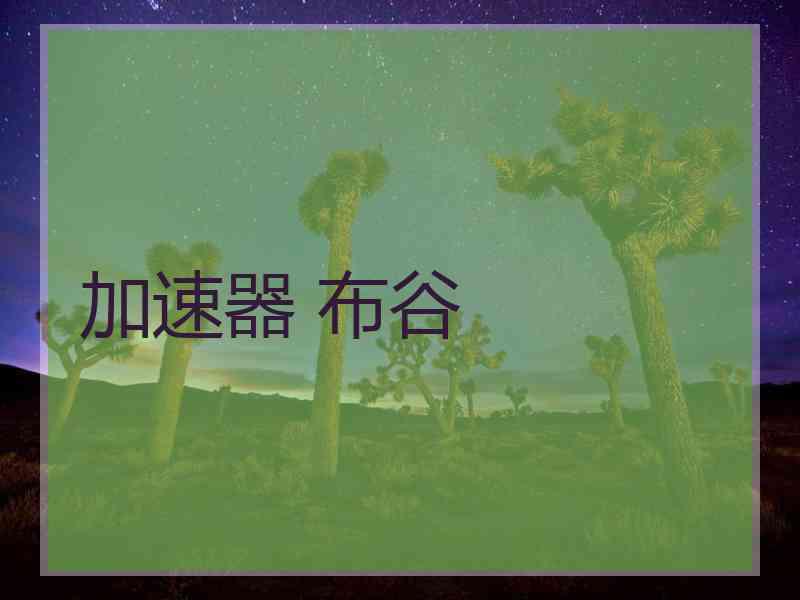 加速器 布谷