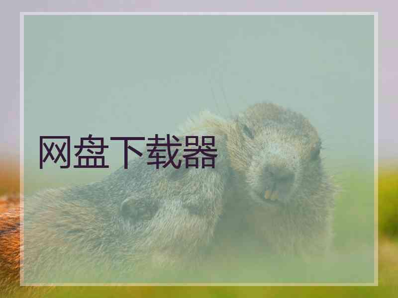 网盘下载器