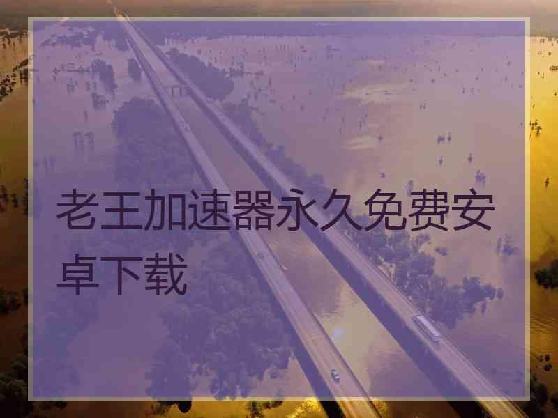 老王加速器永久免费安卓下载