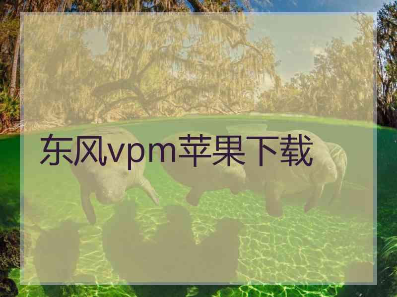 东风vpm苹果下载