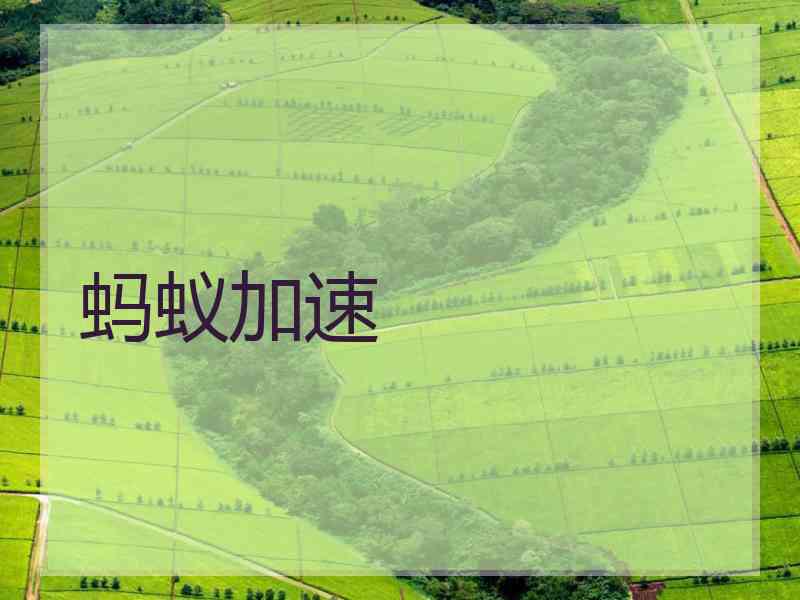 蚂蚁加速