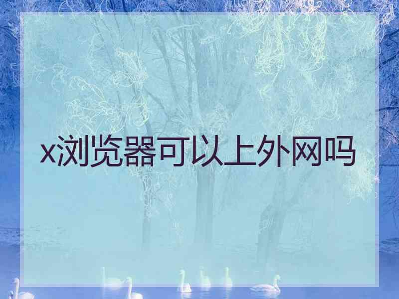 x浏览器可以上外网吗