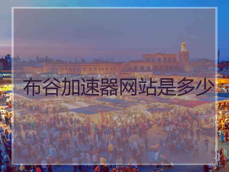布谷加速器网站是多少