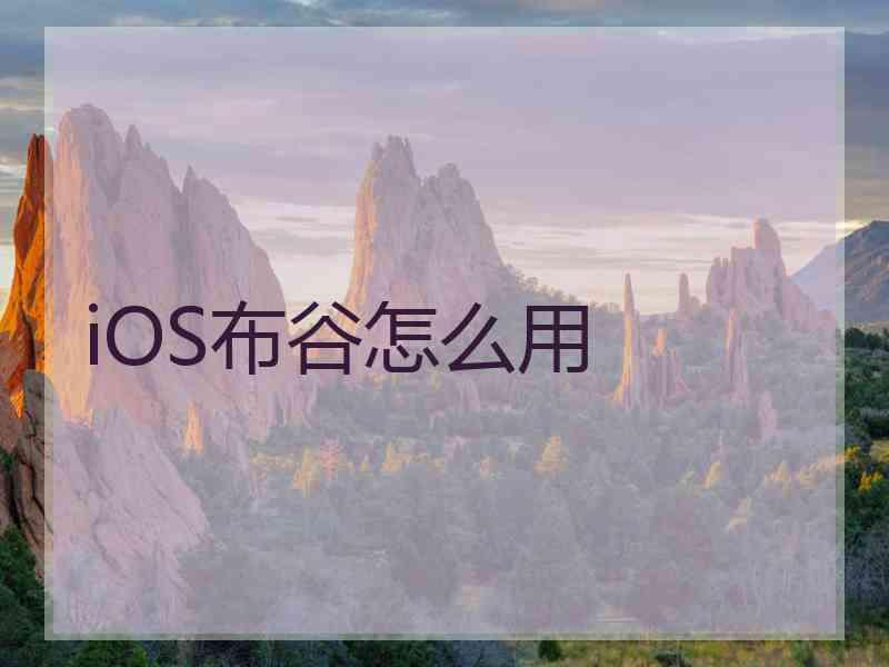 iOS布谷怎么用