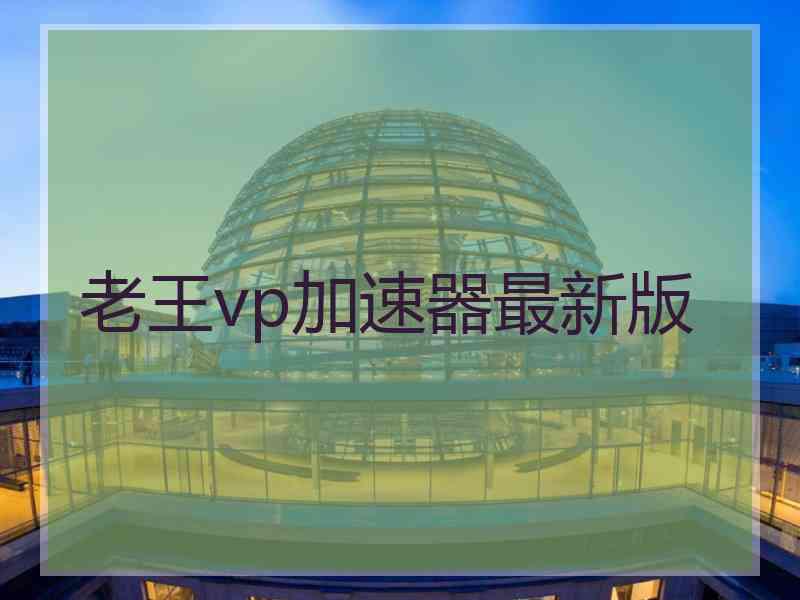 老王vp加速器最新版