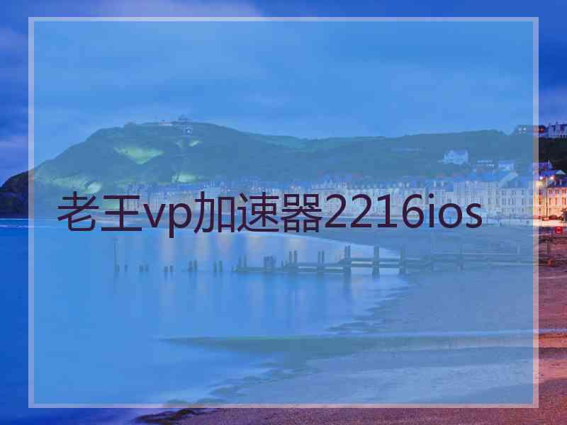 老王vp加速器2216ios