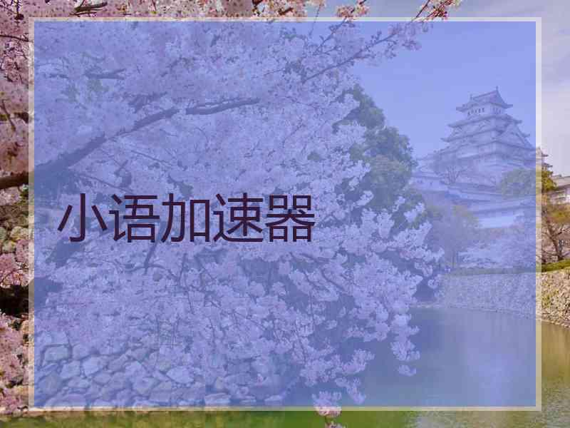 小语加速器
