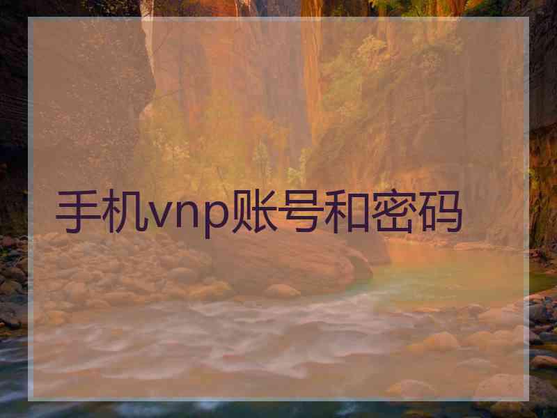 手机vnp账号和密码