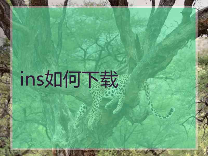 ins如何下载
