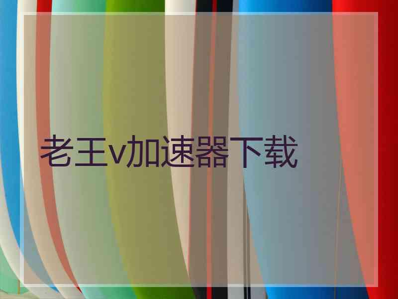 老王v加速器下载
