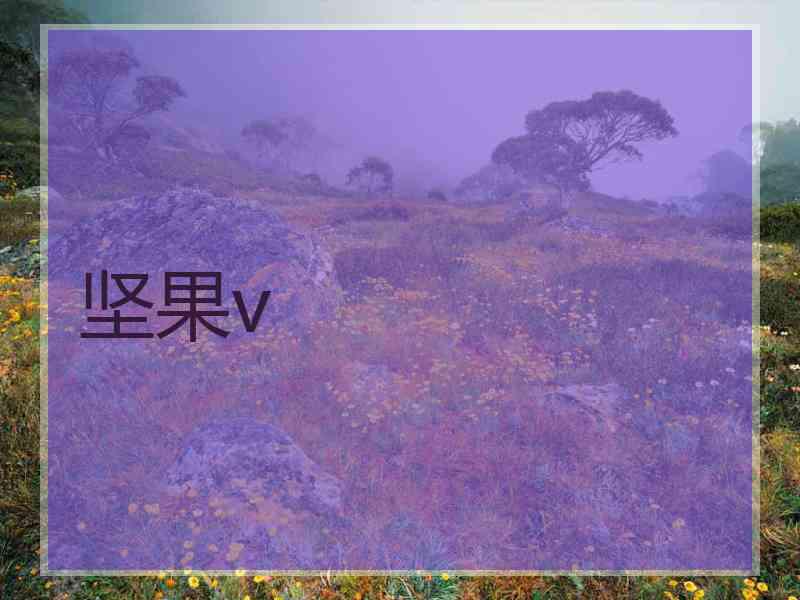 坚果v