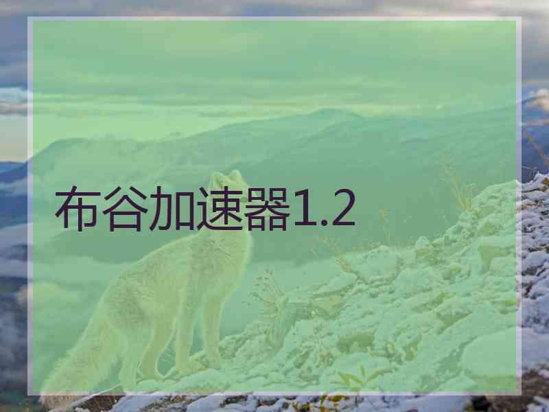 布谷加速器1.2