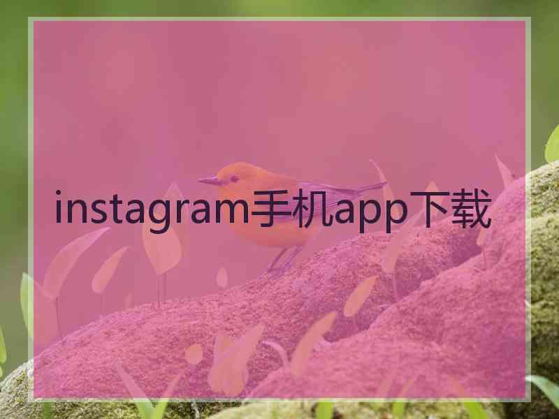 instagram手机app下载
