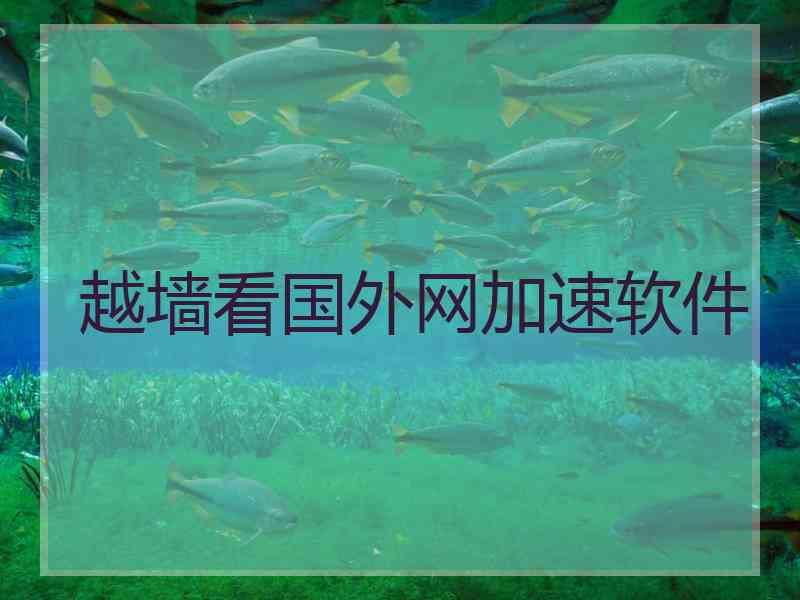 越墙看国外网加速软件