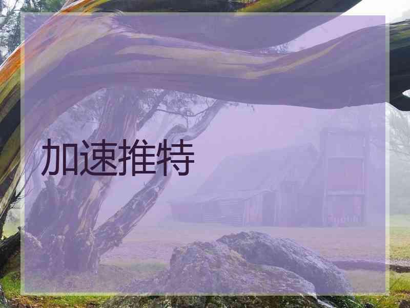 加速推特